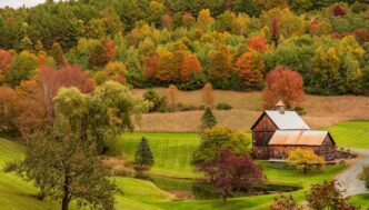 Pomfret Il Foliage Autunnale