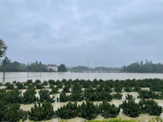 Ripristinata La Circolazione F 1