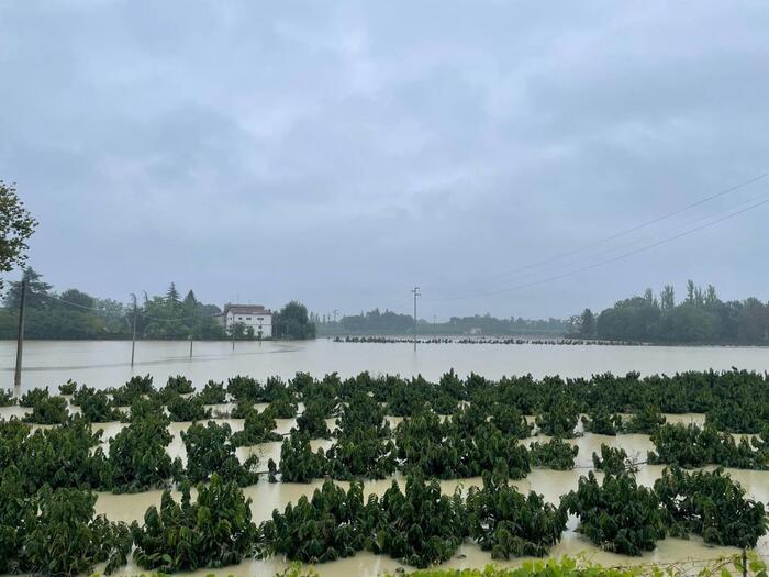 Ripristinata La Circolazione F 1