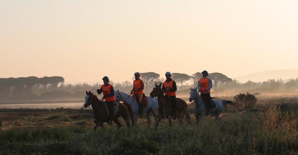 Sardegna Endurance Festival 20