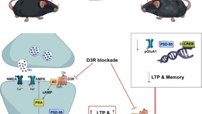 Scoperta Scientifica Bloccand