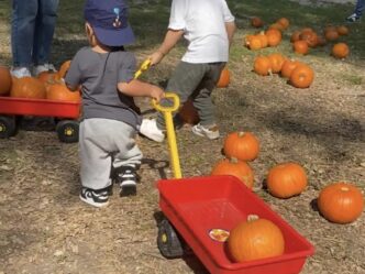 Torna Giochi Di Zucca La Qu