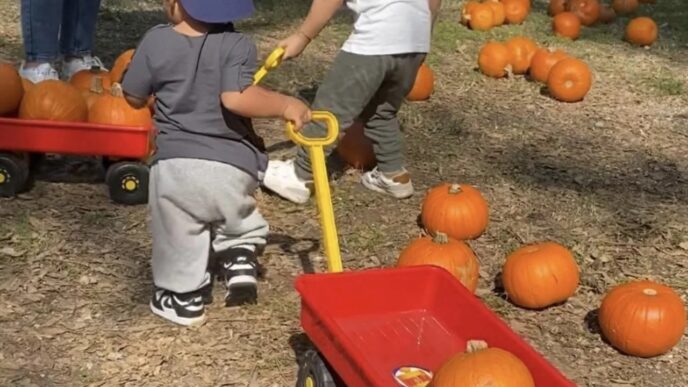 Torna Giochi Di Zucca La Qu