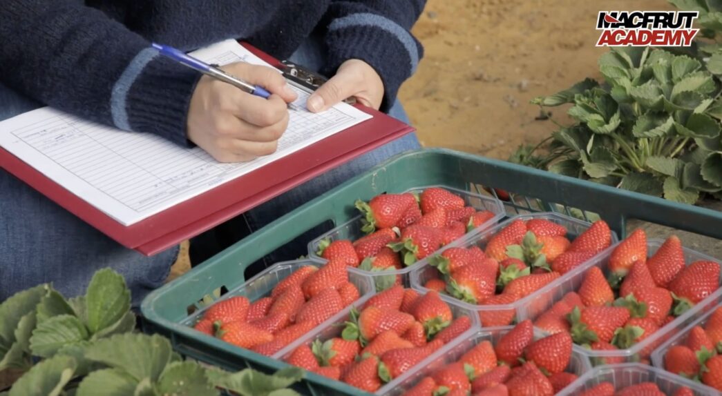 Torna la Macfrut Academy vide