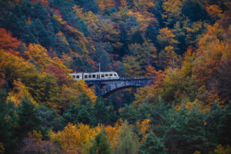 Treno del Foliage® un viaggio