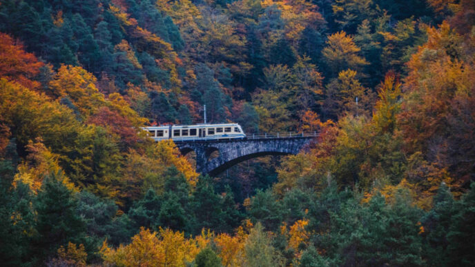 Treno Del Foliage® Un Viaggio