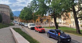 Trento proposta per una galle