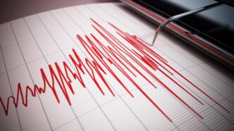 Tsunami E Terremoto In Giappon