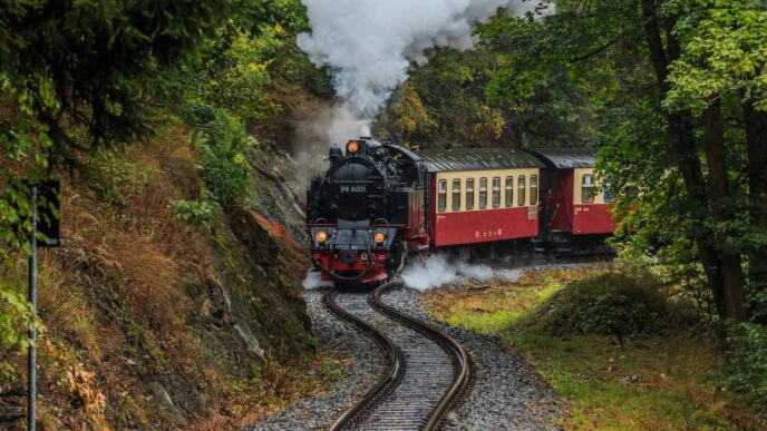 Viaggia Nel Tempo Con Trenord