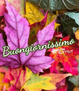 Immagini Buongiorno Autunnale Bellissime Foglie Dai Colori Autunnali 960X1110 2