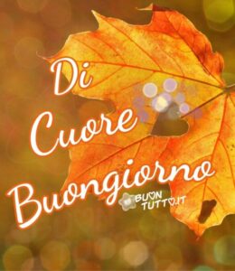 Immagini Buongiorno Autunnale Foglia Acero Cuore 960X1110 1