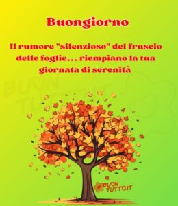 Immagini Buongiorno Autunnale Maesto Albero Rumore Silenzioso Fruscio Foglie Riempiano La Tua Giornata Di Serenita 960X1110 1 1