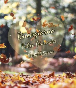 Immagini Buongiorno Autunnale Paessaggio Grande Cuore Felice Giornata Un Abbraccio 960X1110 1