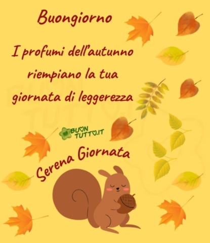 Immagini Buongiorno Autunnale Profumi Autunno Riempiano Giornata Leggerezza Scoiattolino Ghianda Sognante 960X1110 1 2