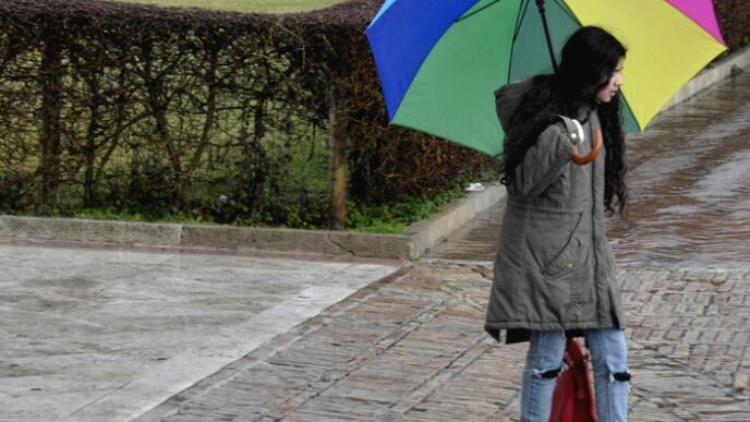 Allerta Meteo Per Il Centro No