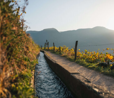 Autunno a Lana unesperienza