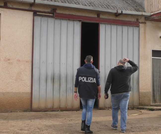 Blitz della polizia a Sezze: scoperti sei braccianti irregolari in un’azienda agricola