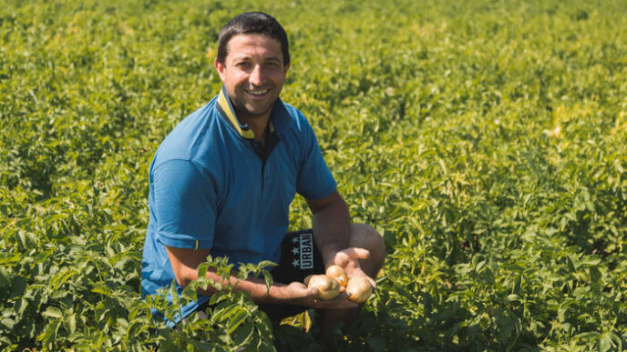 Campagna di raccolta della Pat