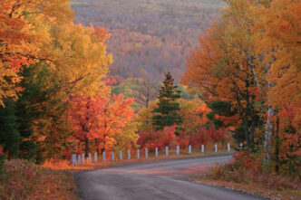 Foliage d27autunno negli Stati