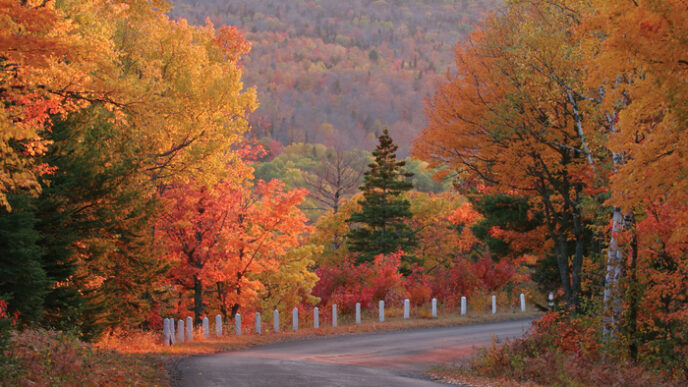 Foliage d27autunno negli Stati