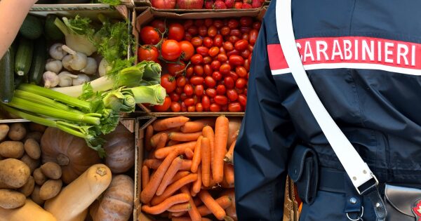 Intervento dei Carabinieri: chiuso un negozio di ortofrutta a Ivrea per gravi irregolarità