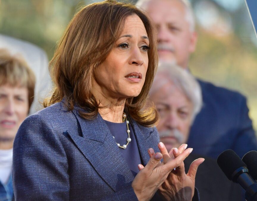 Kamala Harris nel mirino delle elezioni Usa 2024: il dilemma tra sostegno a Israele e diritti umani