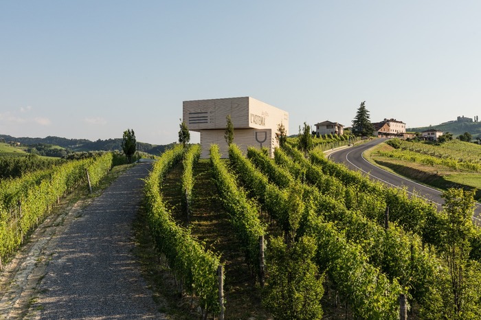 L’Astemia: Un Nuovo Capitolo per la Cantina di Barolo Verso il Futuro Sostenibile