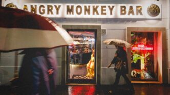 Le28099Angry Monkey Bar3A La Nuova G