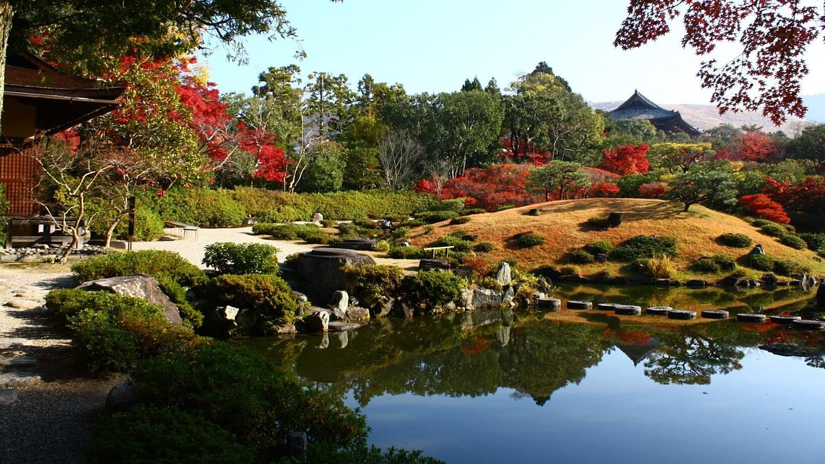 L’autunno a Tokyo: tra giardini incantati e foglie colorate