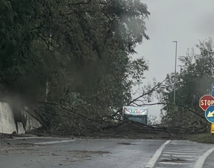 Maltempo a Lamezia Terme: strade allagate e disagi per vie e attività commerciali