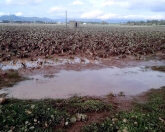 Maltempo In Sardegna3A Forti Pi