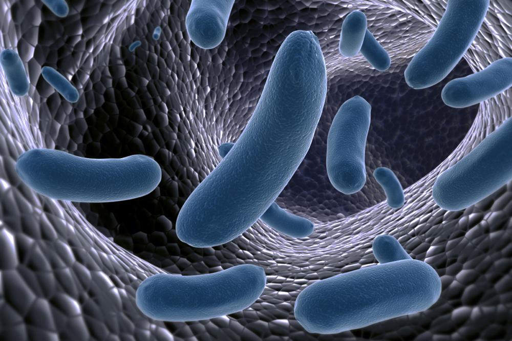 Microbiota Intestinale E Immun