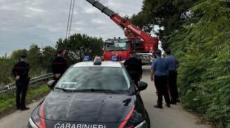 Miracoloso Salvataggio3A Un 81E