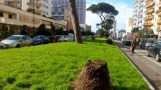 Napoli Avvia La Piantumazione