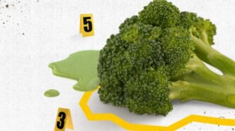 Nasce 22Per Fare Un Broccolo22