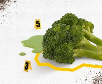 Nasce 22Per fare un broccolo22