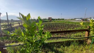 Nasce il progetto 22Agri Cultur