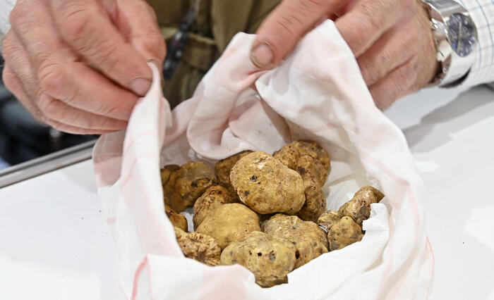 Novembre3A il mese del tartufo