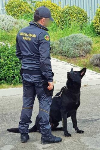 Operazione Antidroga A Fermo3A