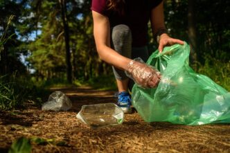 Plogging E Cultura3A A Roma Si