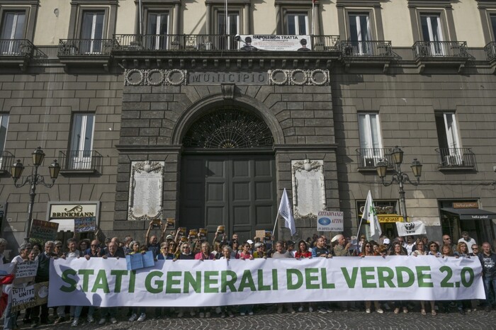 Protesta a Palazzo San Giacomo: cittadini e ambientalisti si uniscono per il verde urbano