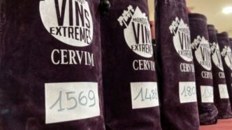 Riconoscimenti Per 305 Vini Da