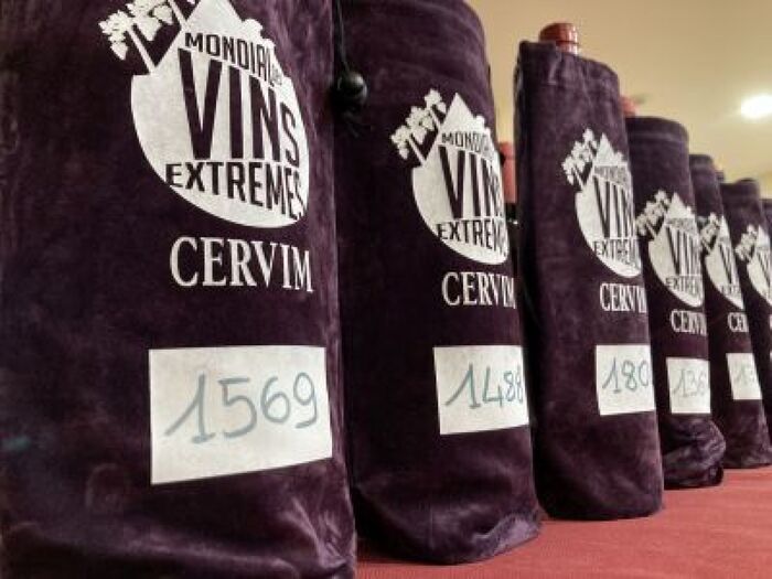 Riconoscimenti Per 305 Vini Da