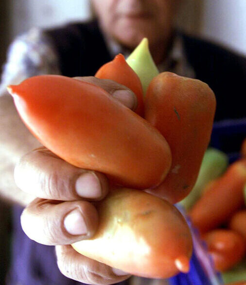 Rilancio Del San Marzano Stra