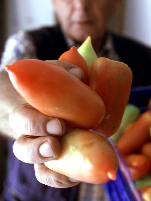 Rilancio del San Marzano stra