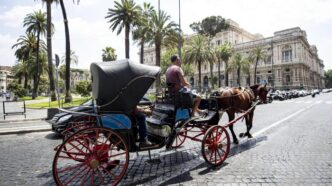 Roma Incidente Con Un Cavallo