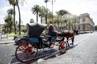 Roma incidente con un cavallo