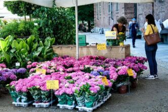 Sanremo3A Il Mercato Dei Fiori