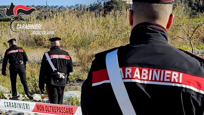 Sanzioni e sequestri: vasta operazione carabinieri contro violazioni ambientali a Gioia Tauro