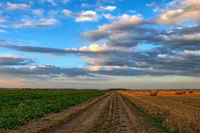 Tre Proposte Per Il Lotto Agri